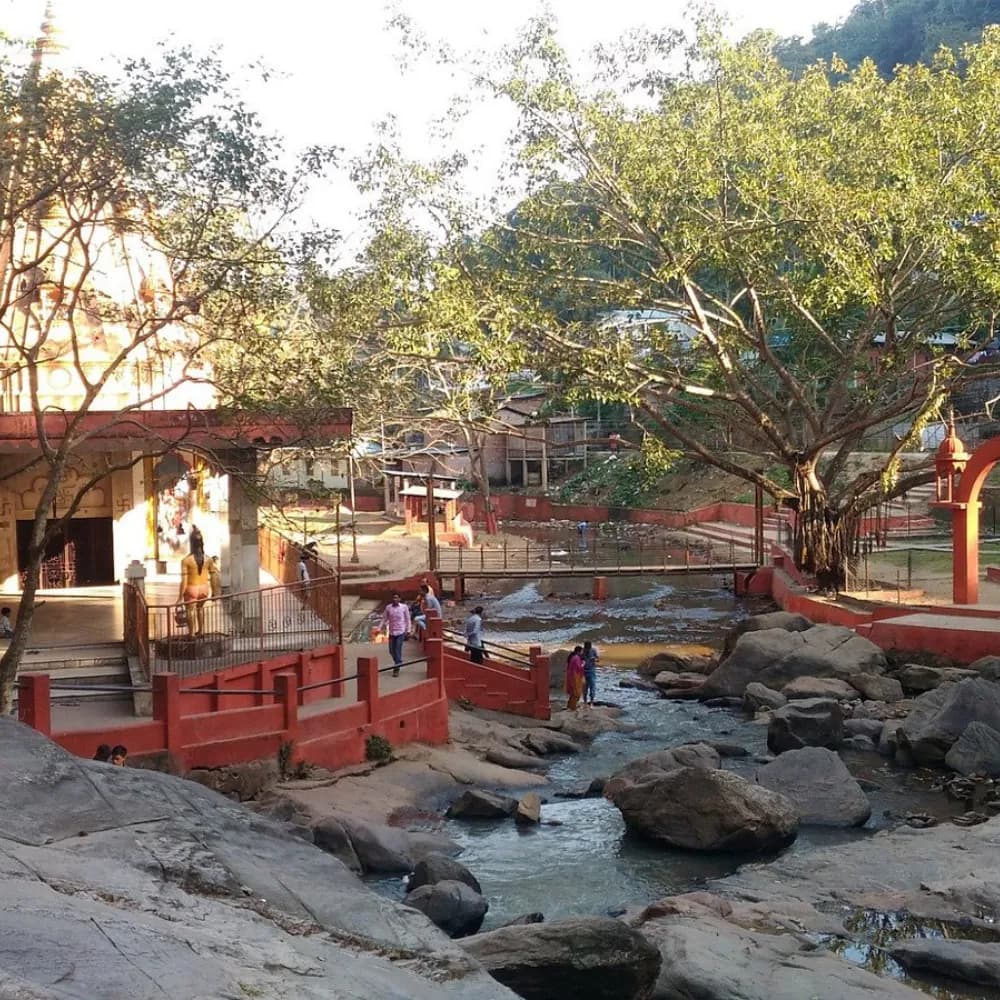 7 Nights 8 Days Meghalaya & Assam Combined Tour - Gallery Image 19