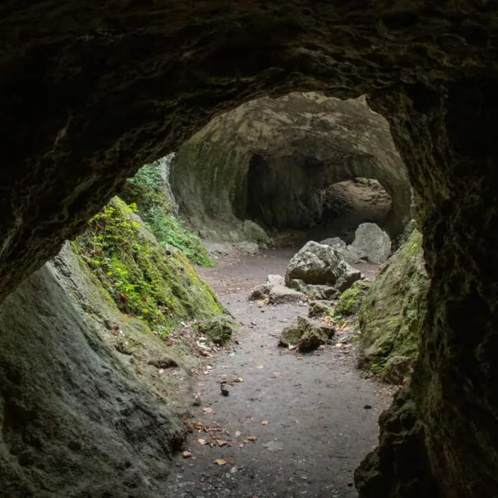 Mawsynram & Cherrapunji - Day 4