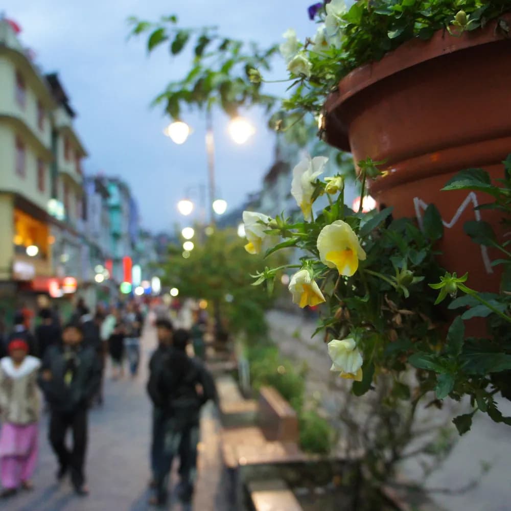 Gangtok Extended Stay - Day 5