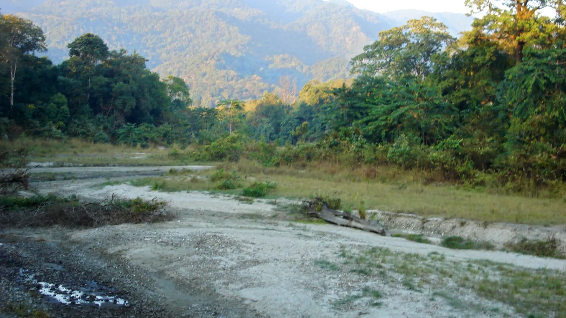 Manas National Park Safari