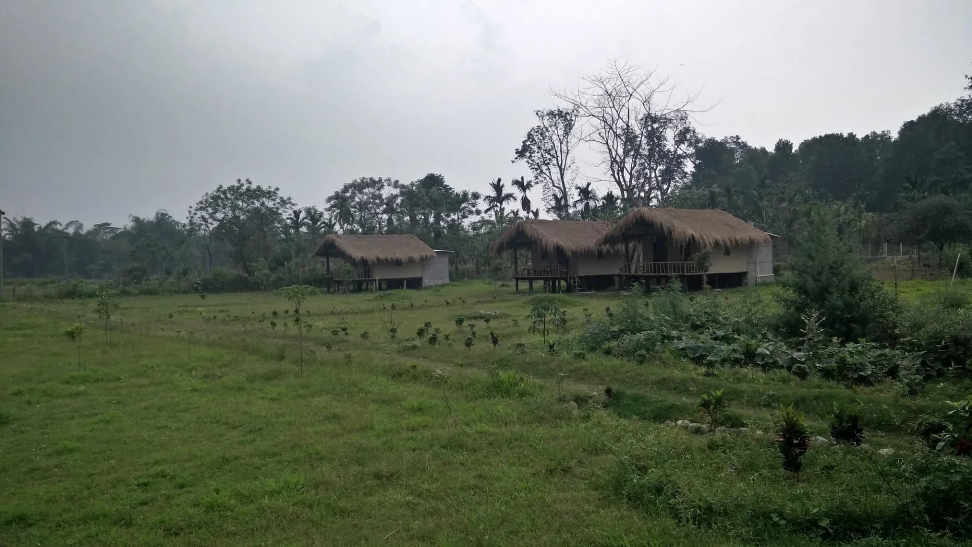 Nameri National Park Adventure