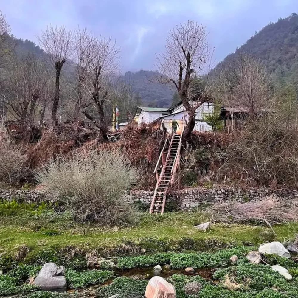 6 Nights 7 Days Shergaon, Dirang, Tawang & Bomdila Tour - Gallery Image 2