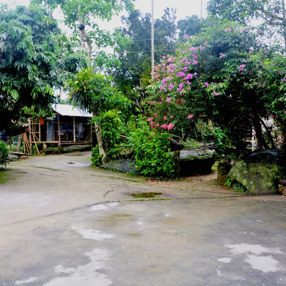 2 Nights 3 Days Shillong, Living Root Bridge & Mawlynnong Tour - Gallery Image 3