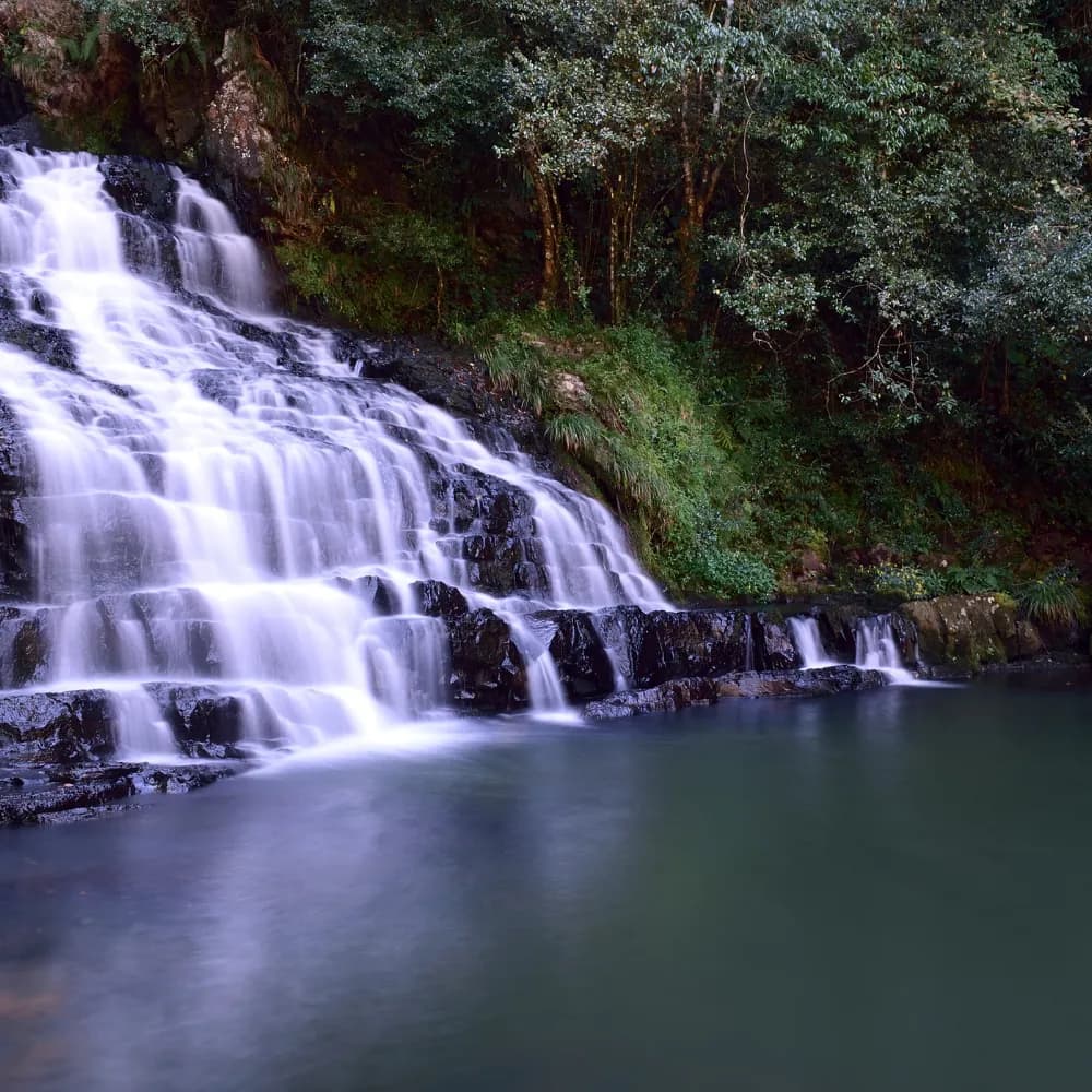 Full Day Shillong and Cherrapunji Tour - Gallery Image 2