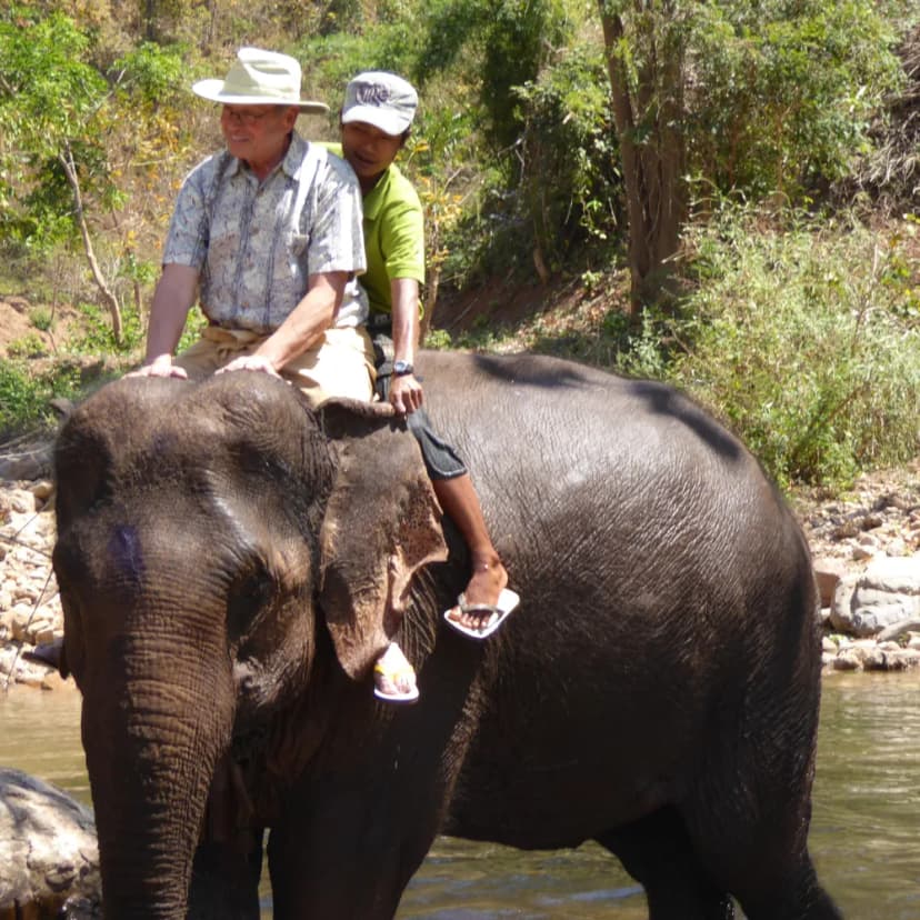 Elephant ride in wildlife sanctuary